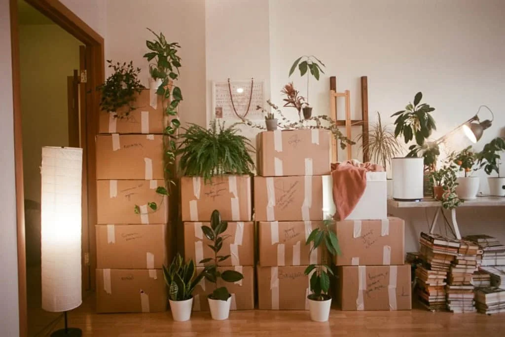16 Essential Steps to Take Immediately After Buying a Home